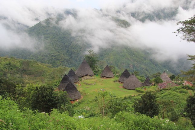 B1657683-0B0B-493C-8510-2919183BE9F1